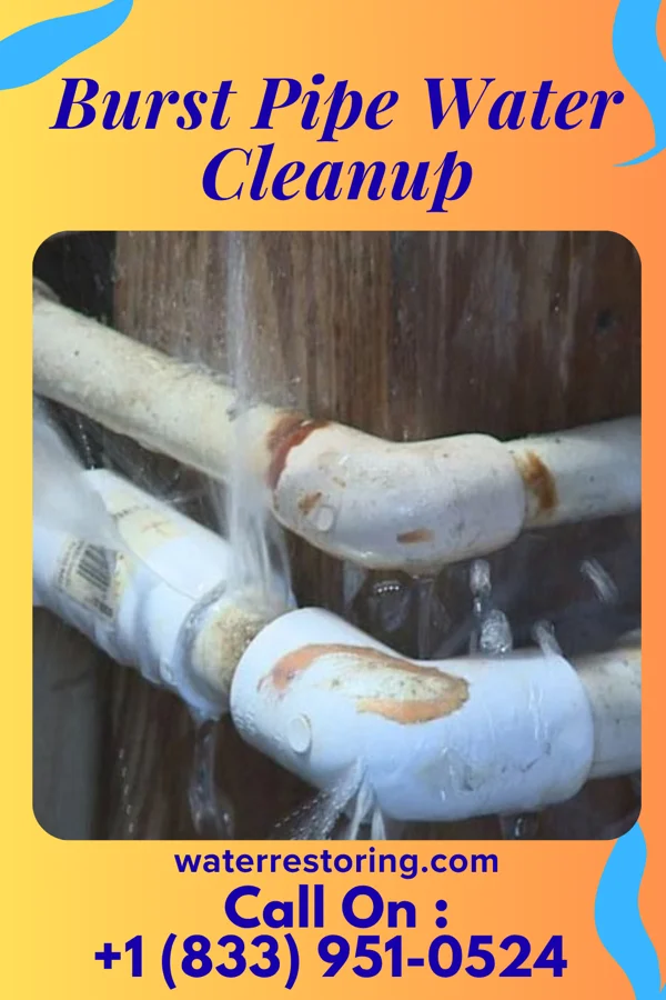 Burst Pipe Water Cleanup in Breckenridge, MN