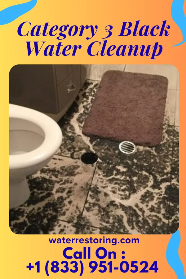 Category 3 Black Water Cleanup in Breckenridge, MN