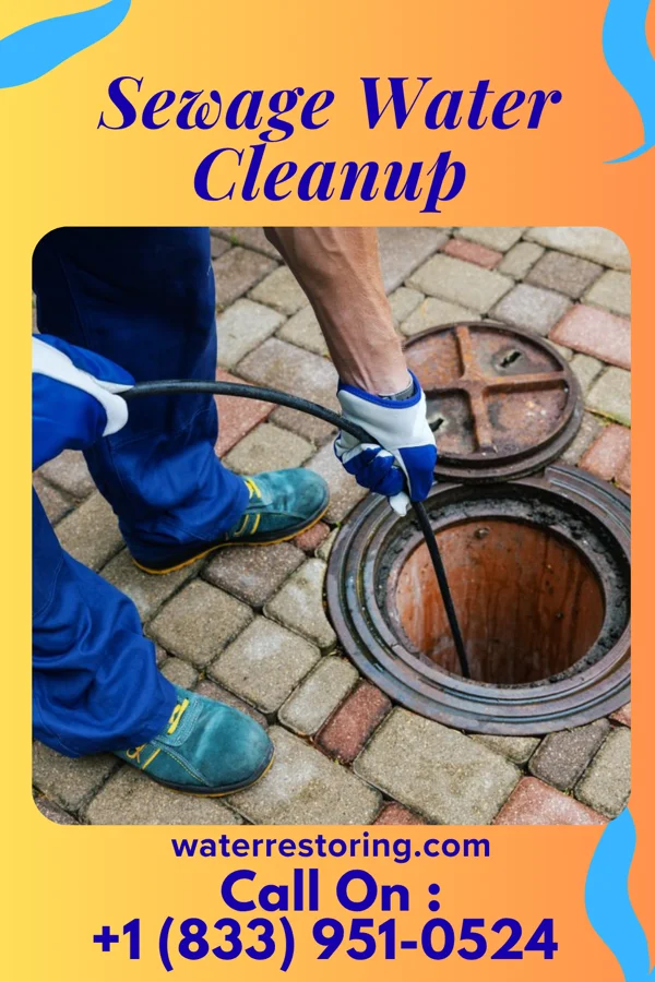 Sewage Water Cleanup in Breckenridge, MN